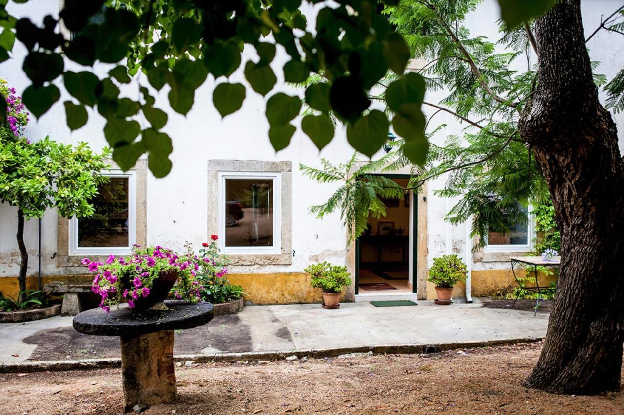 Quinta Da Bizelga Cottages Tomar Chambre photo